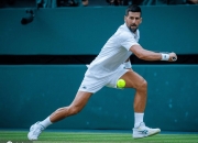 AYX体育赛事-法国网球队横扫世界网球队，德约科维奇制霸全场