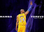 AYX官方直播-凯尔特人铁血防守锁死鹈鹕，奥运周期关键战成战术教科书