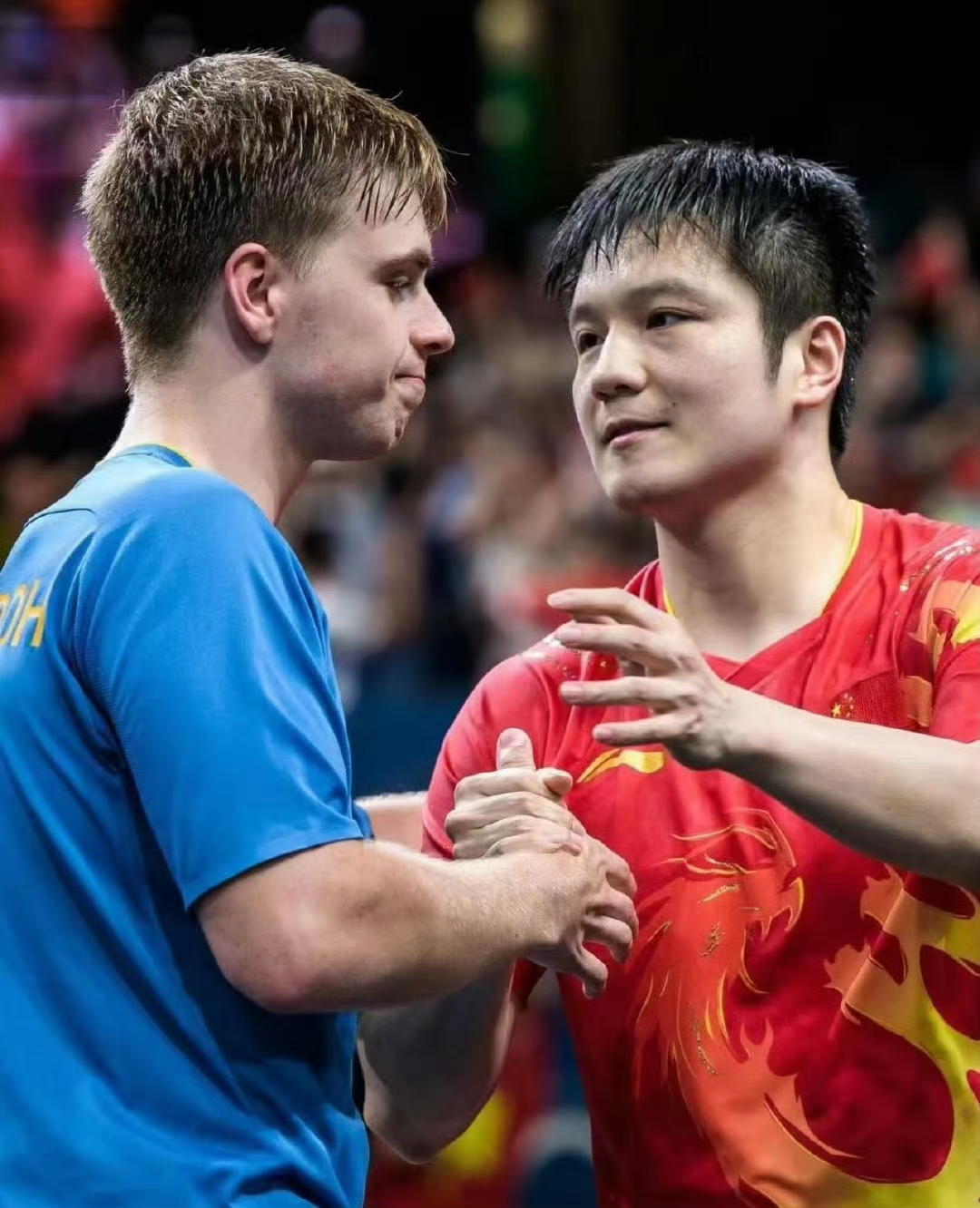 葡萄牙队翻盘德国队,樊振东惊艳四座 葡萄牙队翻盘德国队,樊振东惊艳四座