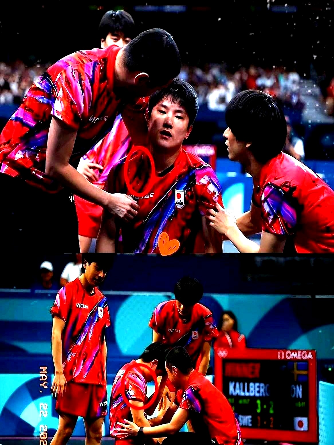 比利时乒乓球队险胜波兰乒乓球队，张本智和关键制胜