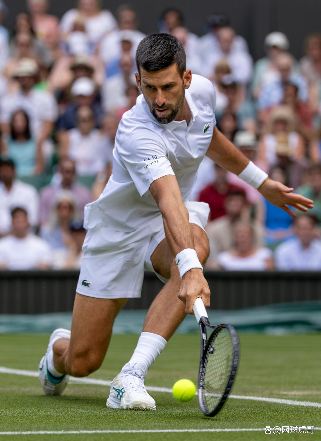 世界网球队力克意大利网球队，德约科维奇关键制胜