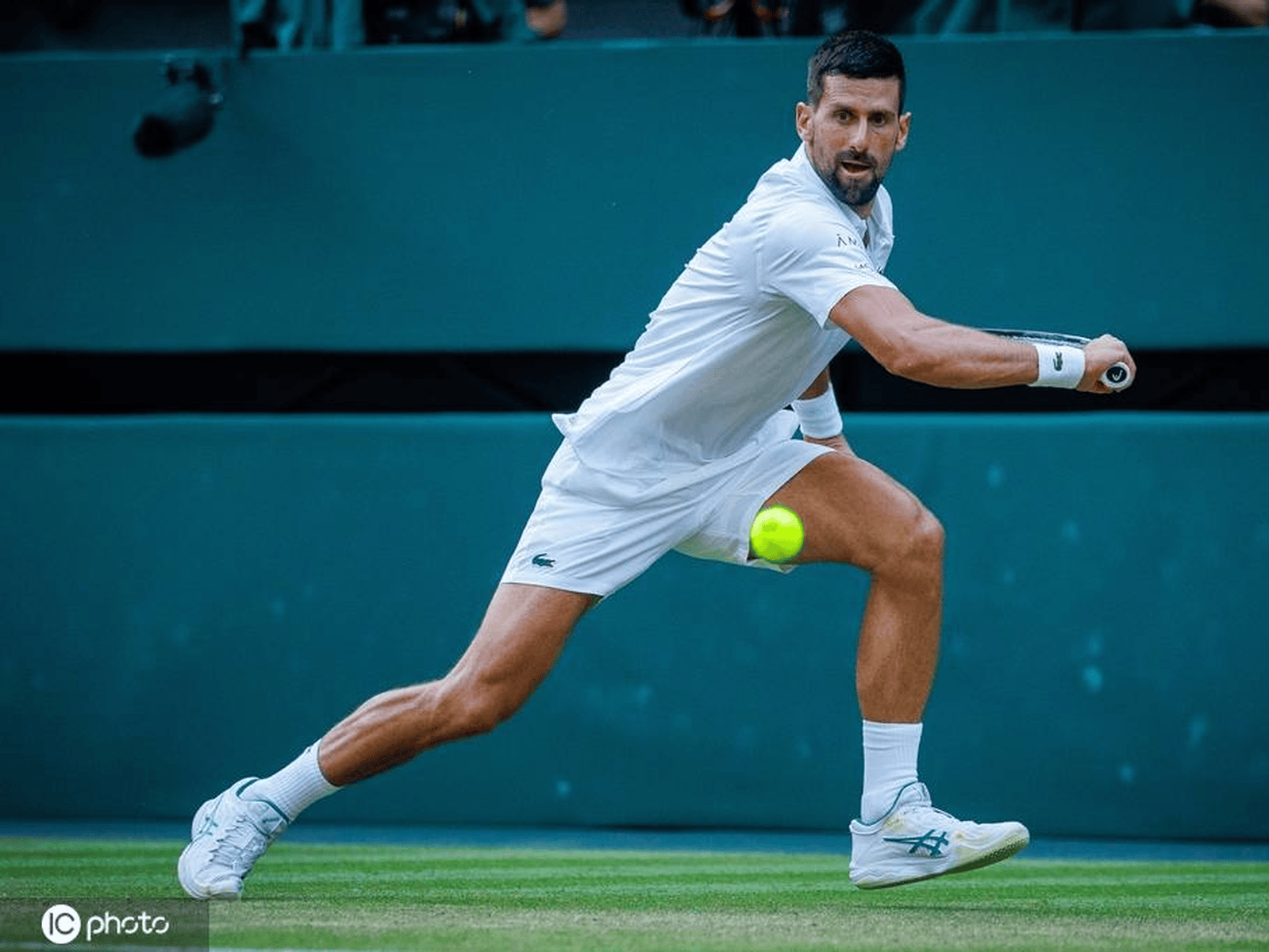 法国网球队横扫世界网球队，德约科维奇制霸全场