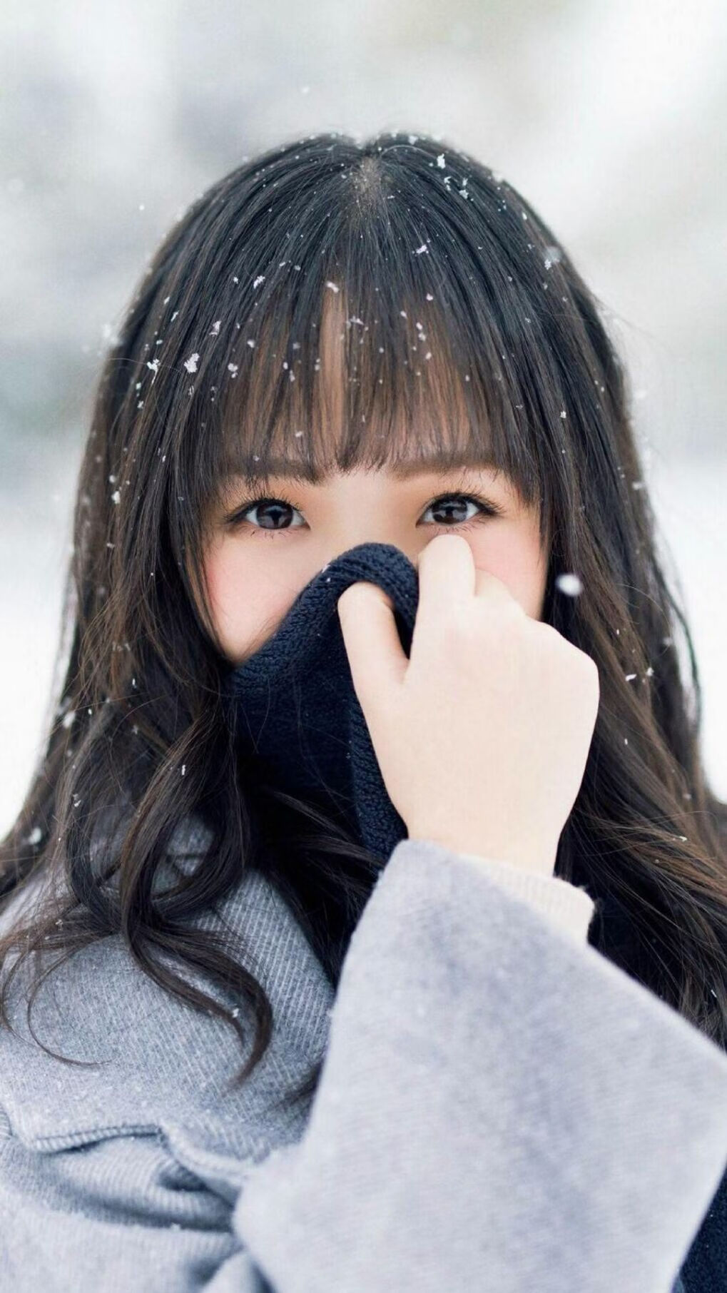 勇士粉碎辽宁队，福克斯成为关键先生